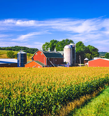 GNB Farm Management Farm Management Services